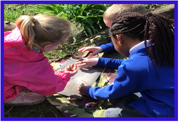 Forest Schools